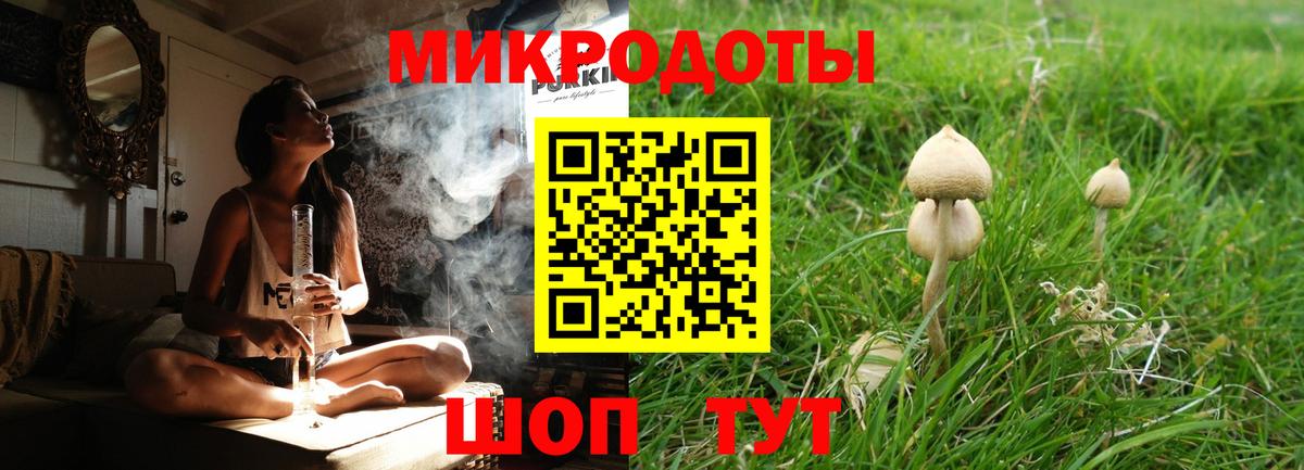 Галлюциногенные грибы мухоморы Кубинка